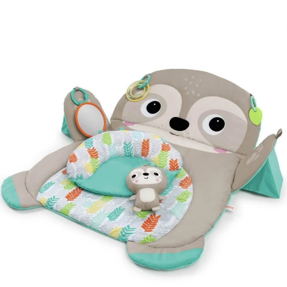 Fisher-Price Sloth Activity Gym - Gray and Green